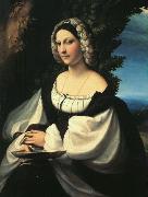 Portrait of a Gentlewoman Correggio