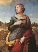 St.Catherine of Alexandria Raphael