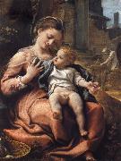 The Madonna of the Basket Correggio