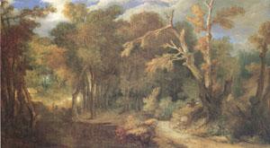 Largillierre Wooded Landscape (mk05)